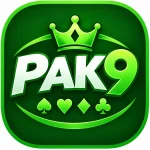PAK9 Game Download Best Version for Android Users
